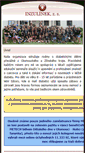 Mobile Screenshot of inzulinek.cz